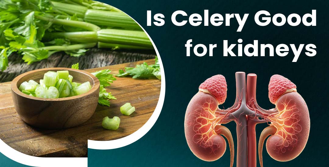 Is Celery Good for Kidneys?